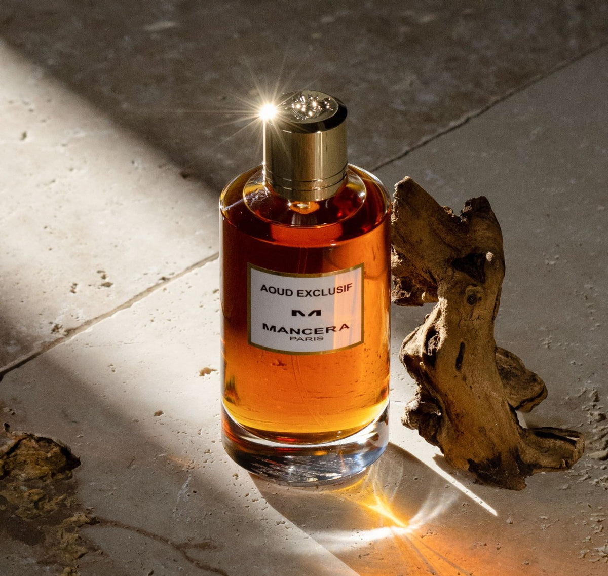 Mancera Aoud Exclusif