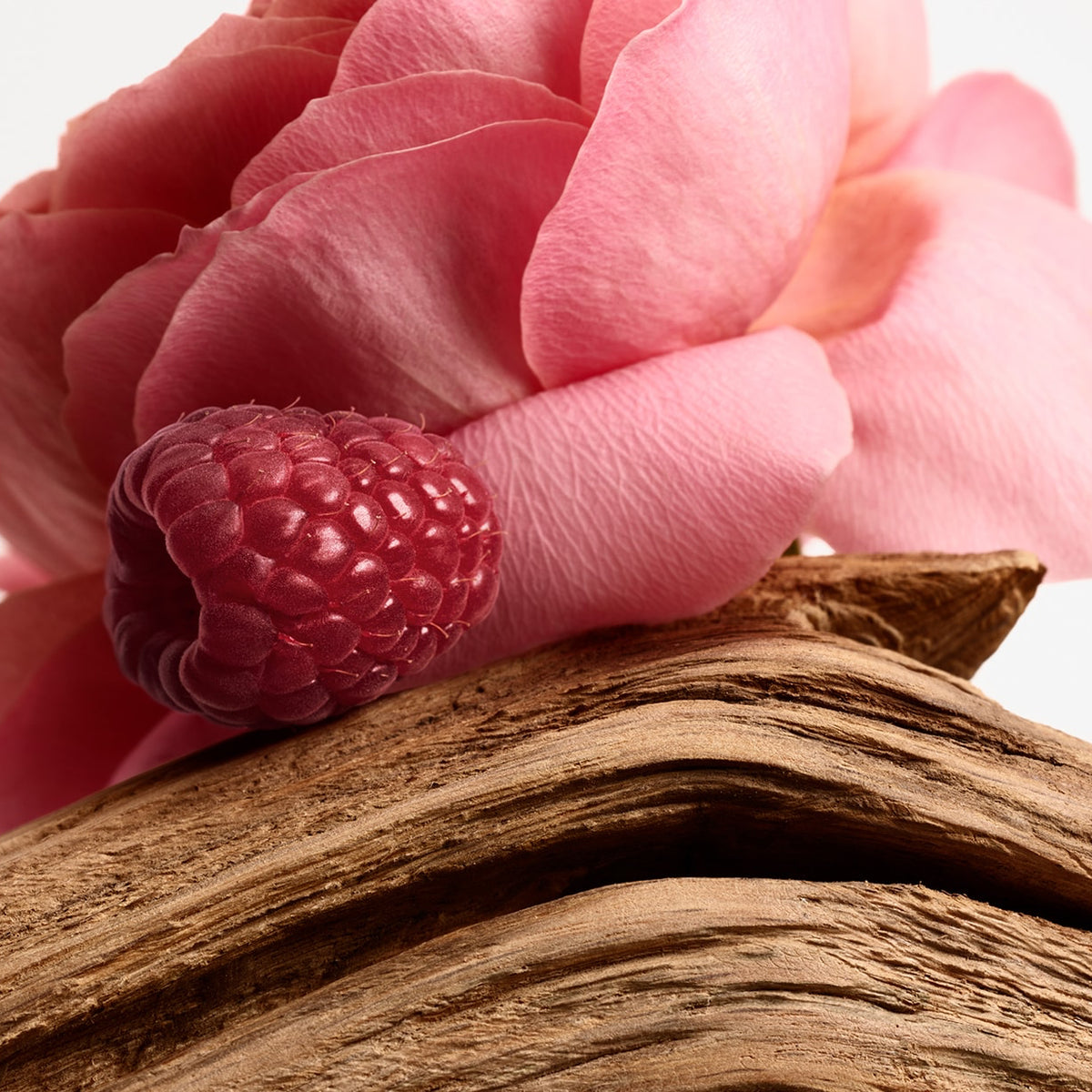 Pink raspberry on a wooden surface with pink flowers in the background
