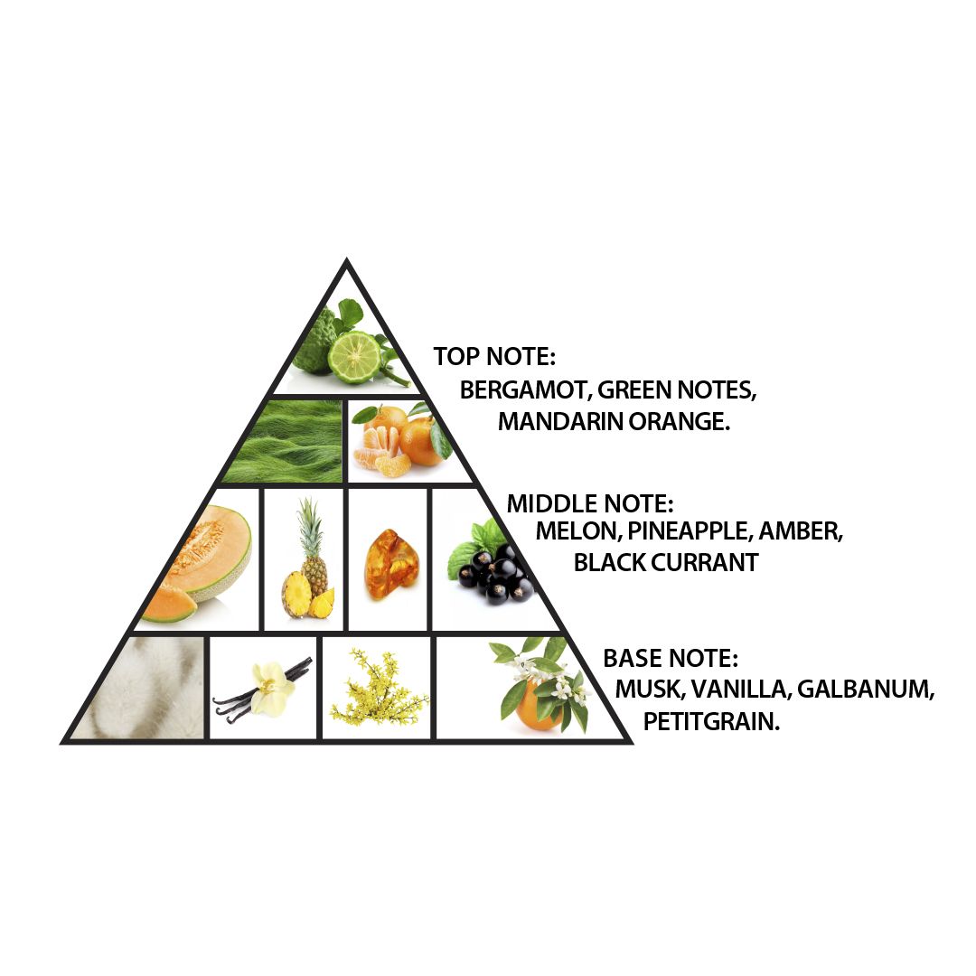 Pyramid diagram showing top, middle, and base notes of a fragrance with corresponding images and notes.