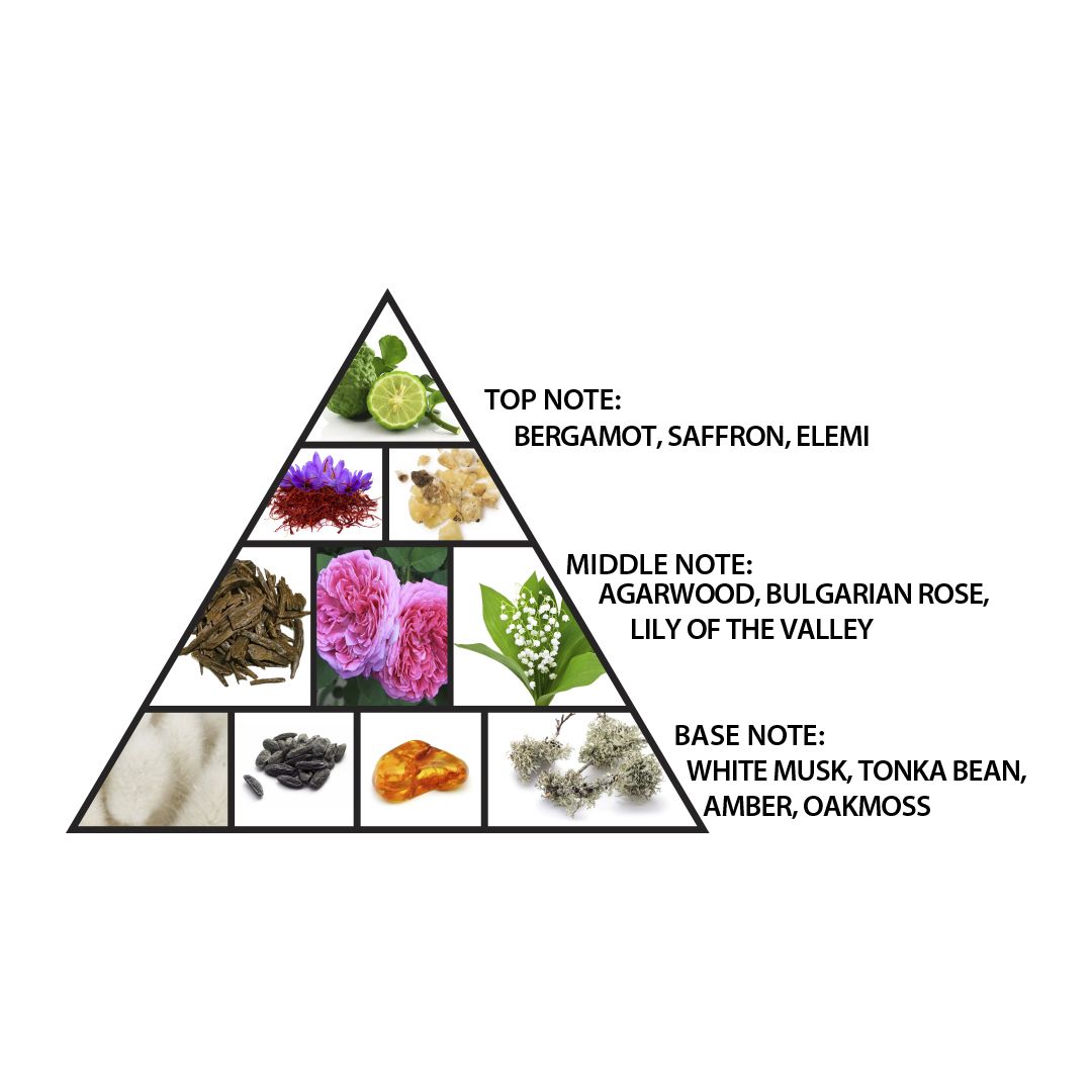 Triangular diagram showing top, middle, and base notes of a fragrance with corresponding botanical images.